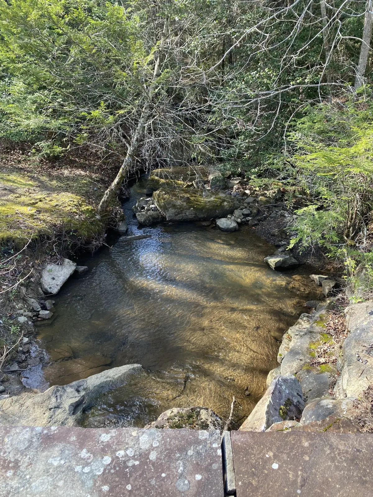 305 Timberwood Trace, Monteagle, TN 37356 - Image #1