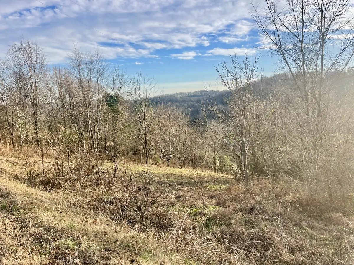 0 Old Lake Road, Lewisburg, TN 37091 - Image #1