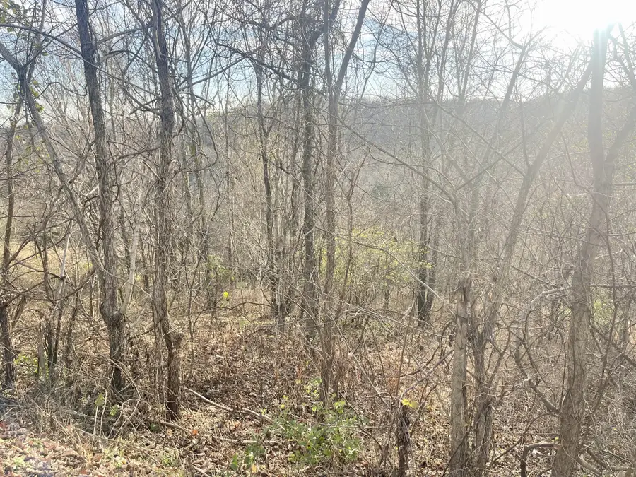 0 Old Lake Road, Lewisburg, TN 37091 - Image #3