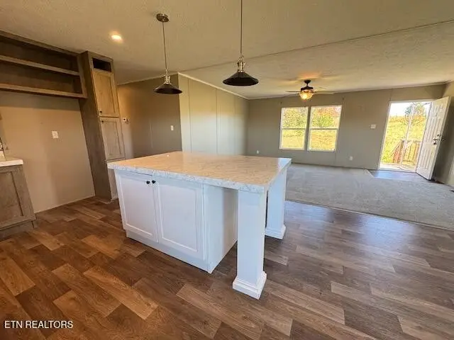 665 Painter Rd, Fall Branch, TN 37656 - Image #3