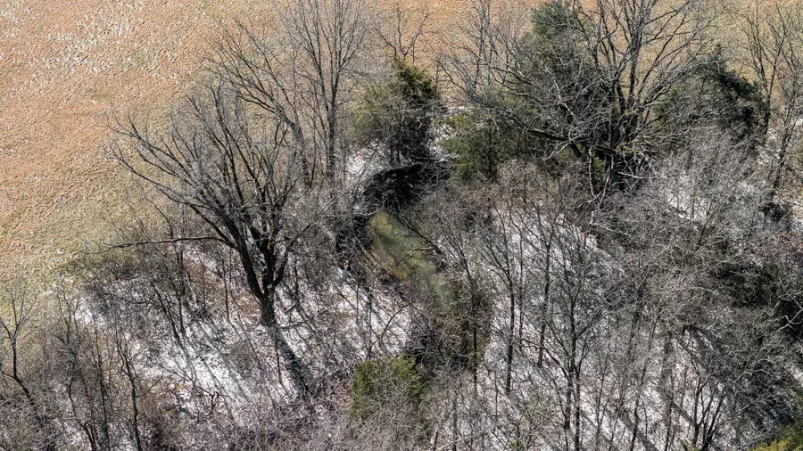 6217 Lampkins Bridge Rd, College Grove, TN 37046 - Image #3