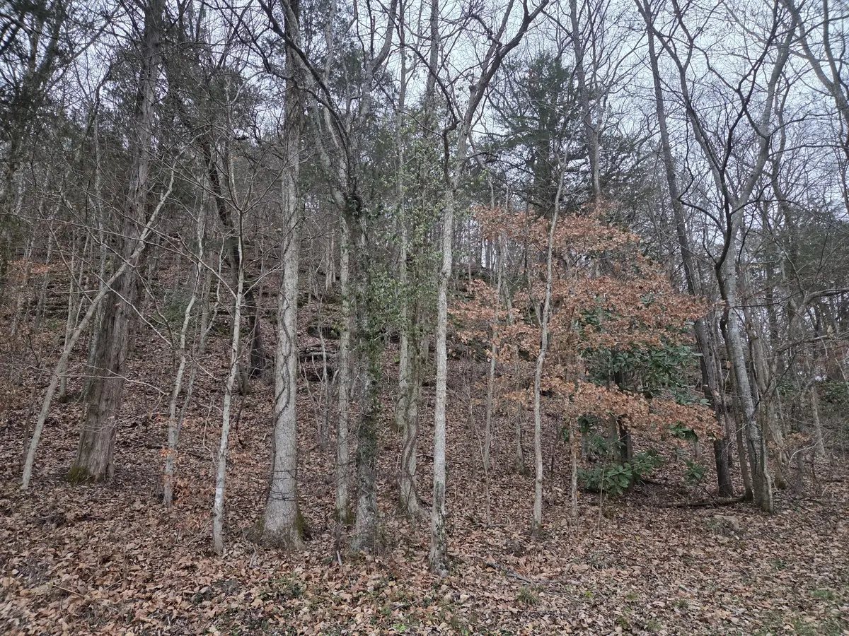 0 Upper Brush Creek Rd, Linden, TN 37096 - Image #1