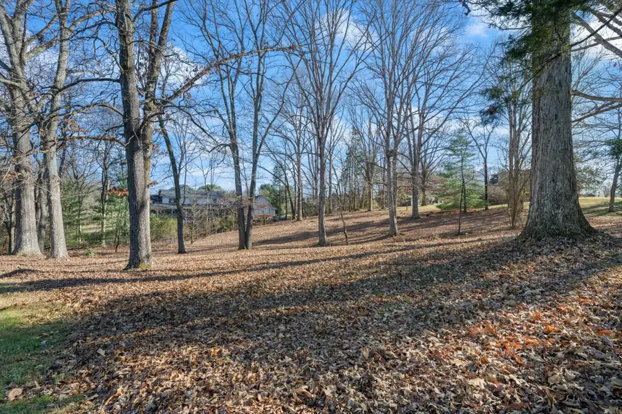 0A Pickney Rd, Winchester, TN 37398 - Image #3