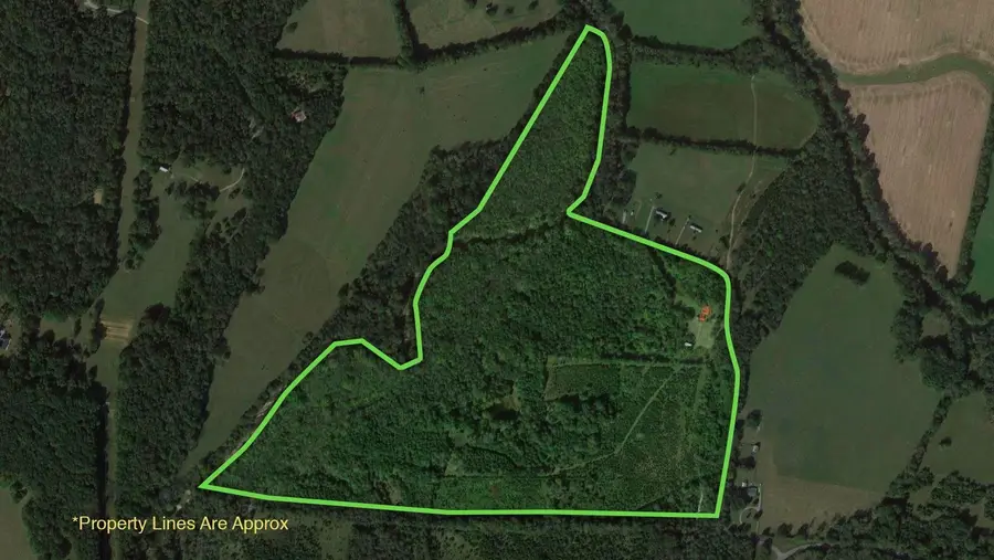 980 Baldy Ford Road, Lascassas, TN 37085 - #3