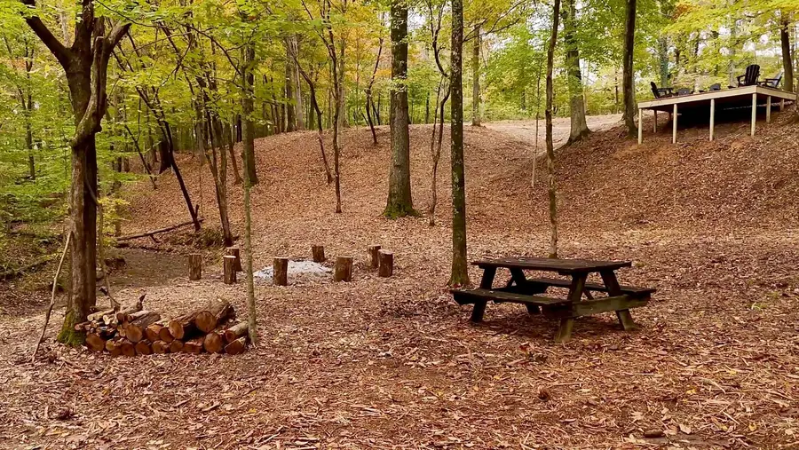 7368 Overbey Rd, Fairview, TN 37062 - #3