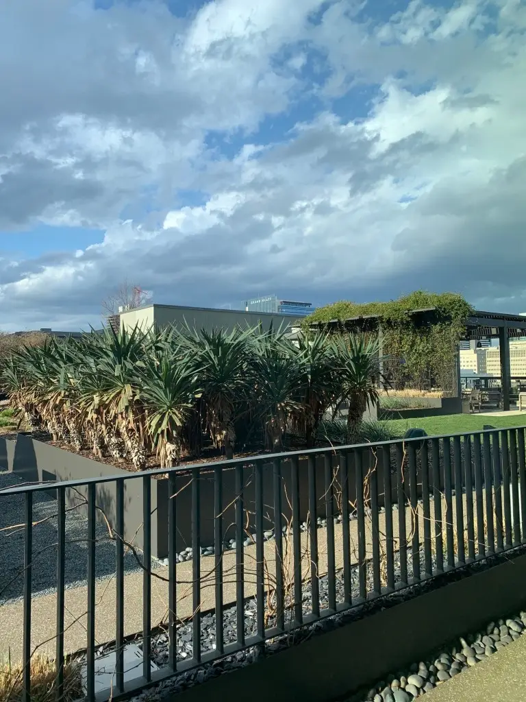 1212 Laurel St #502, Nashville, TN 37203 - Image #3