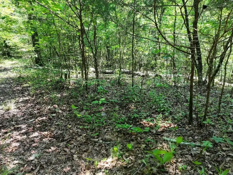 0 Cherry Ln, Celina, TN 38551 - Image #2