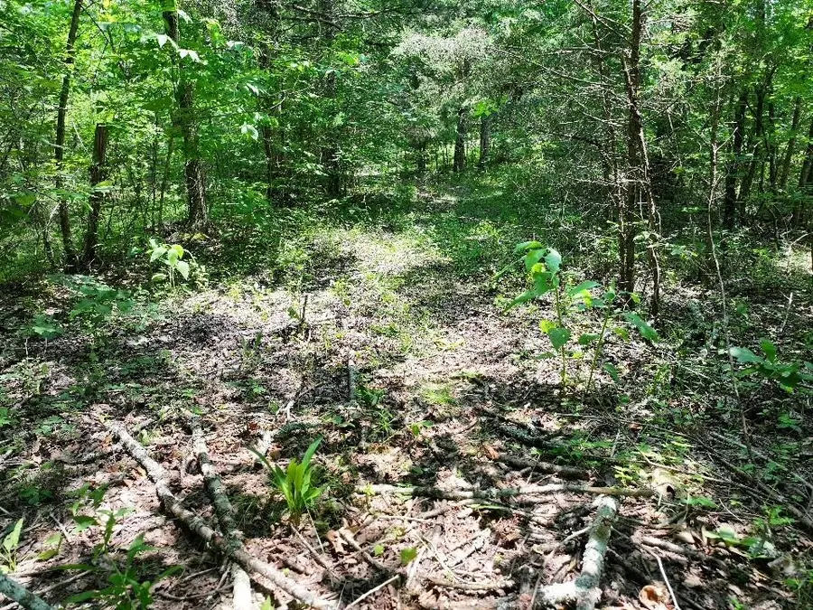 0 Cherry Ln, Celina, TN 38551 - Image #3