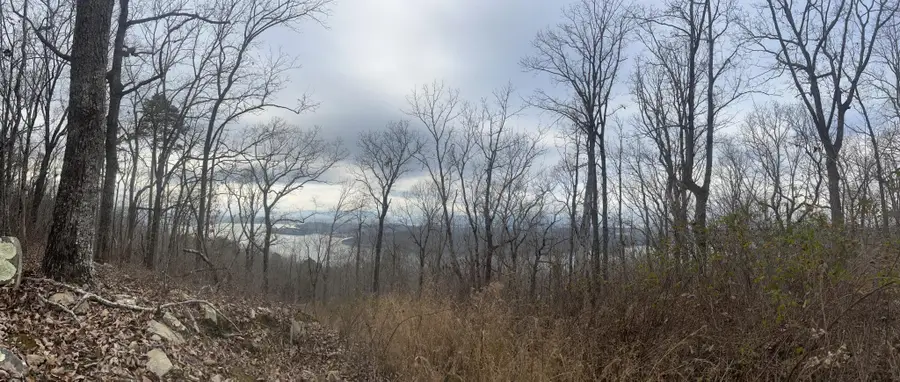 13 Bluffs North Road, South Pittsburg, TN 37380 - #3