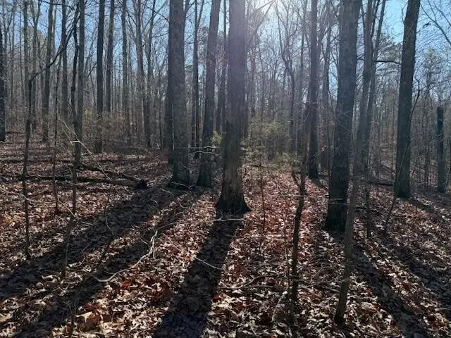 6 County Road 751, Valley Head, AL 35989 - #3