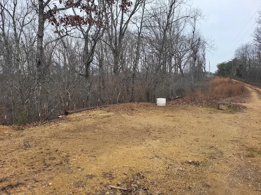 177 Martin Cv, Holladay, TN 38341 - #3