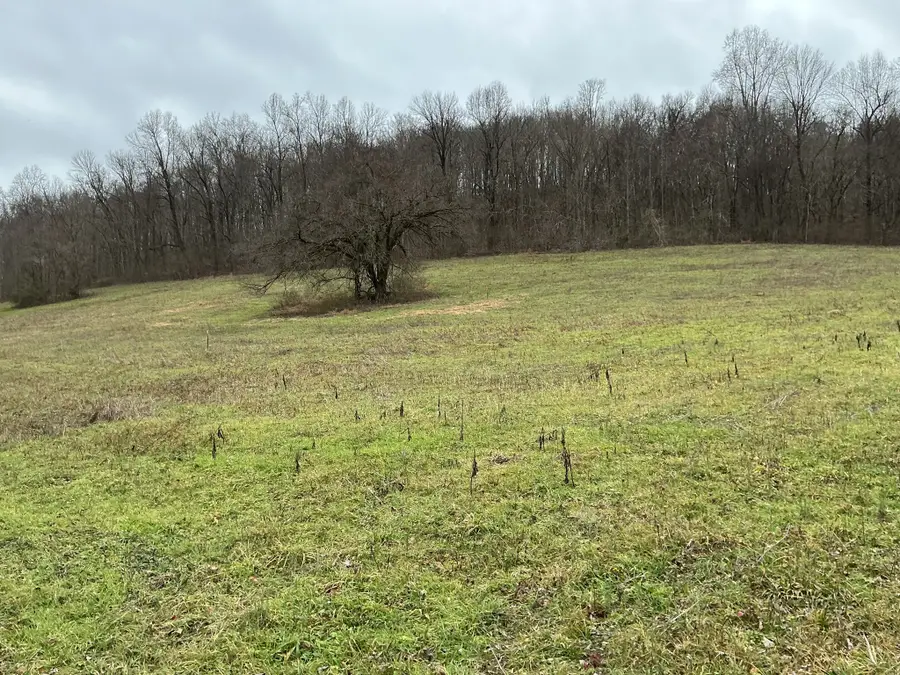 0 Lazy Branch Rd, Normandy, TN 37360 - #2