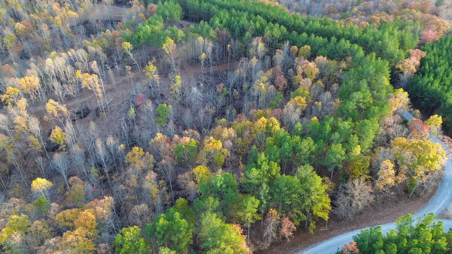 0 Sassafras Stand Ridge Rd, Linden, TN 37096 - Image #3