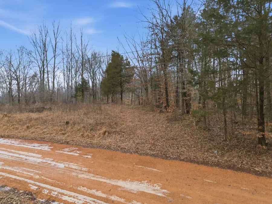 0 Tyler Ridge Road, Primm Springs, TN 38476 - #2