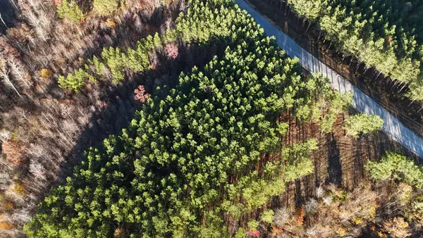 252 Streamside Dr, Linden, TN 37096