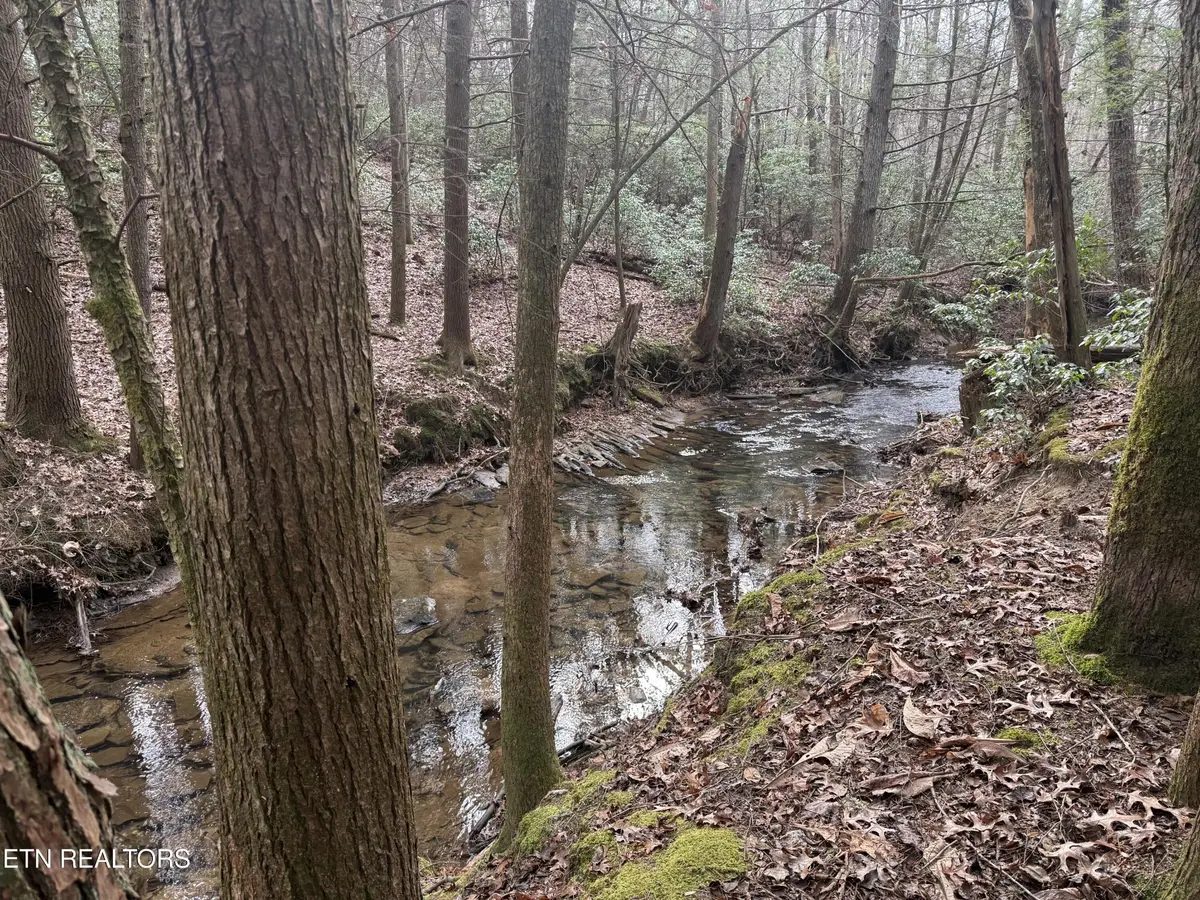 0 Street Place Loop, Monterey, TN 38574 - #1