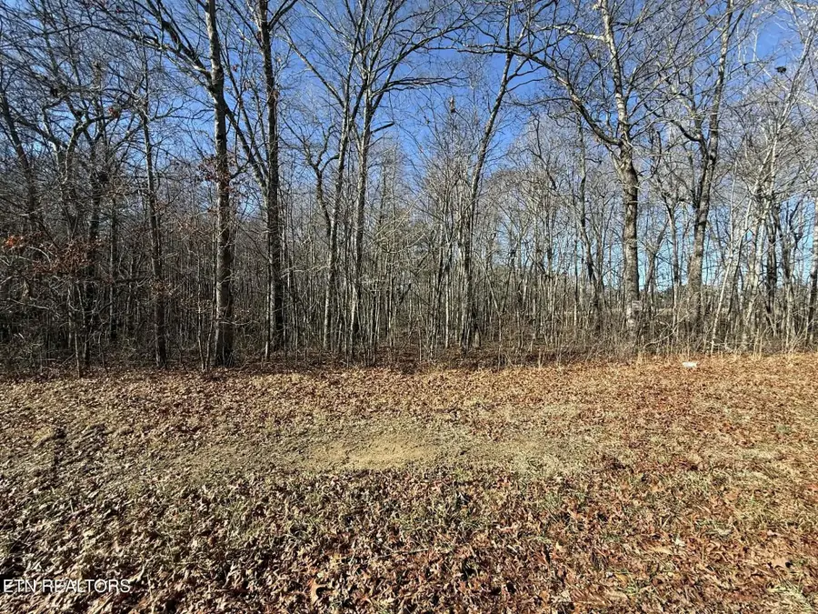 0 Georgee Road, Jamestown, TN 38556 - #3