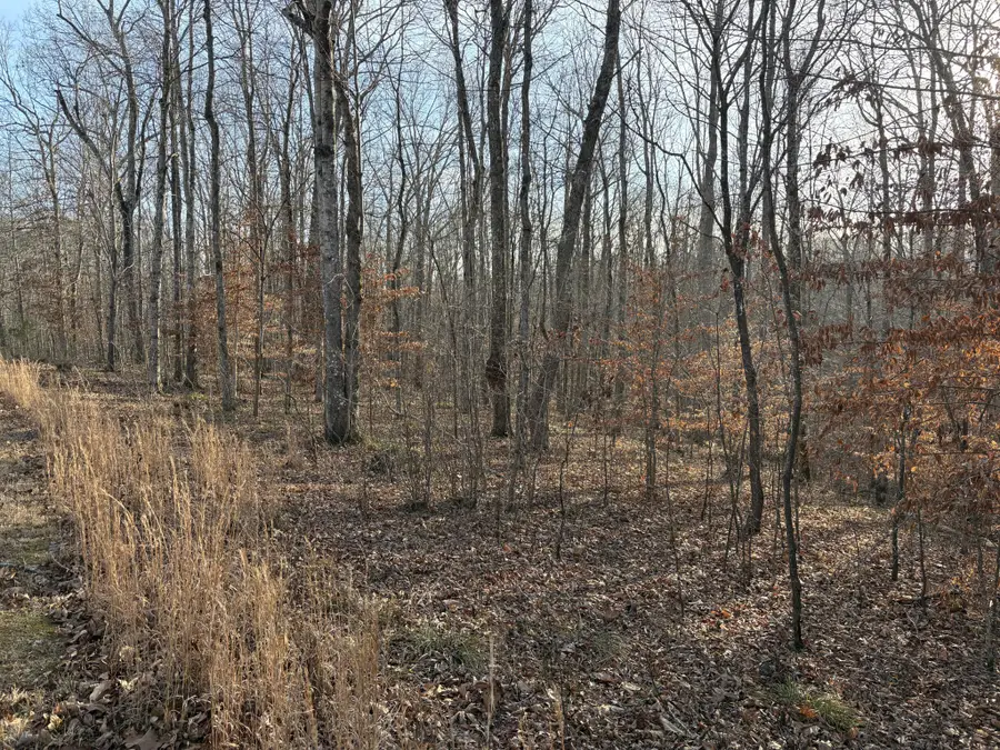 0 Harbour Park Lane, Sparta, TN 38583 - Image #2