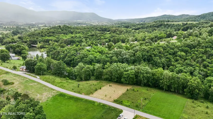 0 Wagon Lane, Speedwell, TN 37870 - Image #3