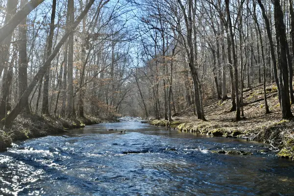 0 Allens Creek Road, Hohenwald, TN 38462