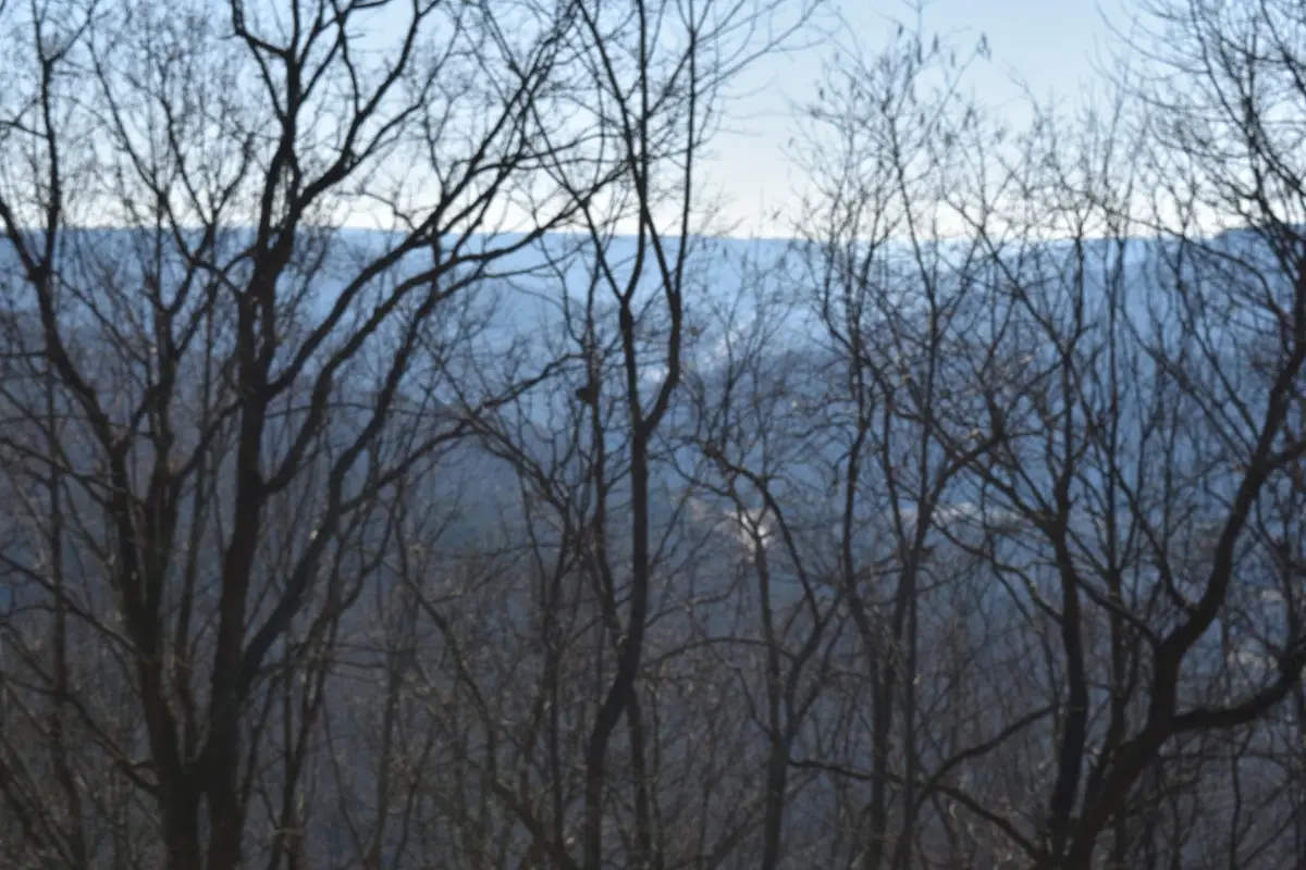 21 Laurel Lake Dr, Monteagle, TN 37356 - Image #1