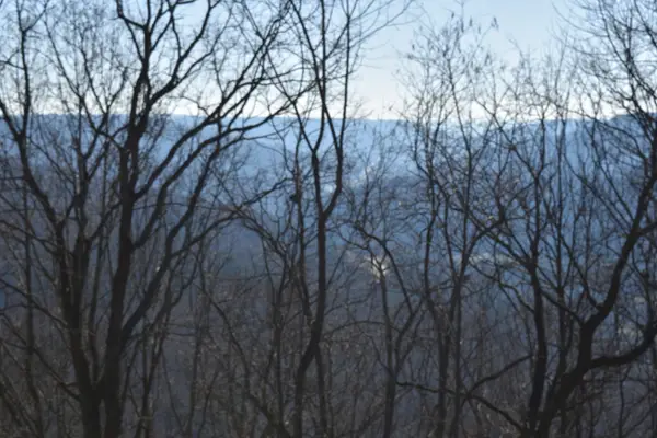 21 Laurel Lake Dr, Monteagle, TN 37356