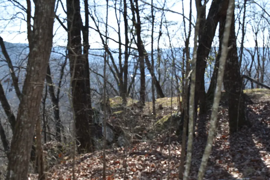 21 Laurel Lake Dr, Monteagle, TN 37356 - Image #2