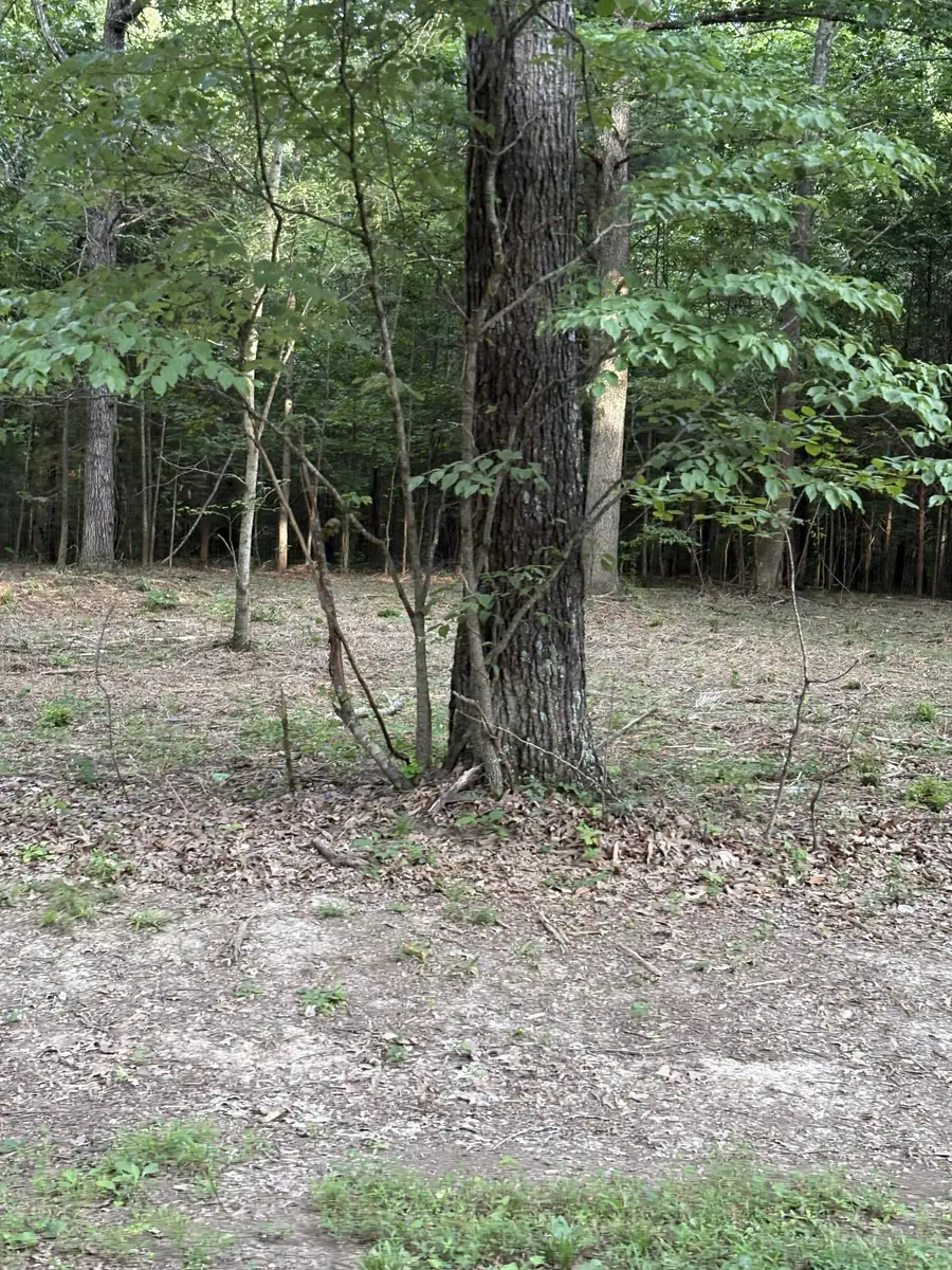 0 Iron Hill Rd, Burns, TN 37029 - Image #3