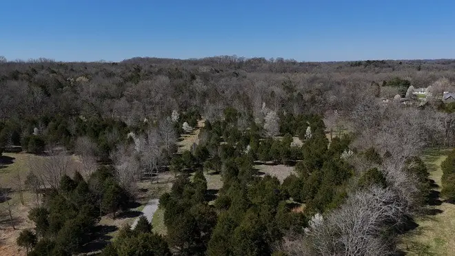 406B Harsh Ln, Castalian Springs, TN 37031 - Image #2