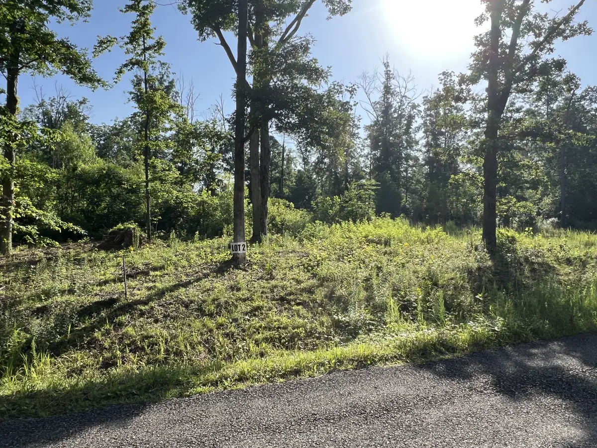 2 Slaughter Rd, Primm Springs, TN 38476 - Image #1