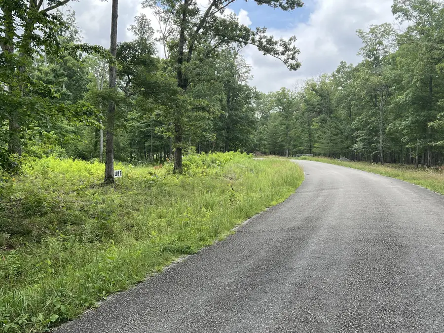 2 Slaughter Rd, Primm Springs, TN 38476 - Image #3