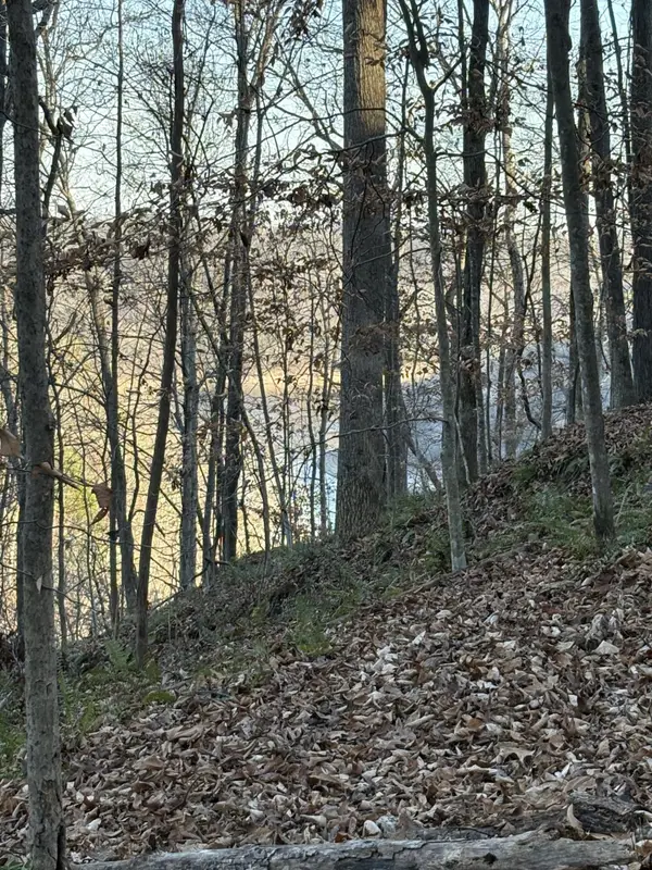 0 Mountain Lake Lane, Sparta, TN 38583