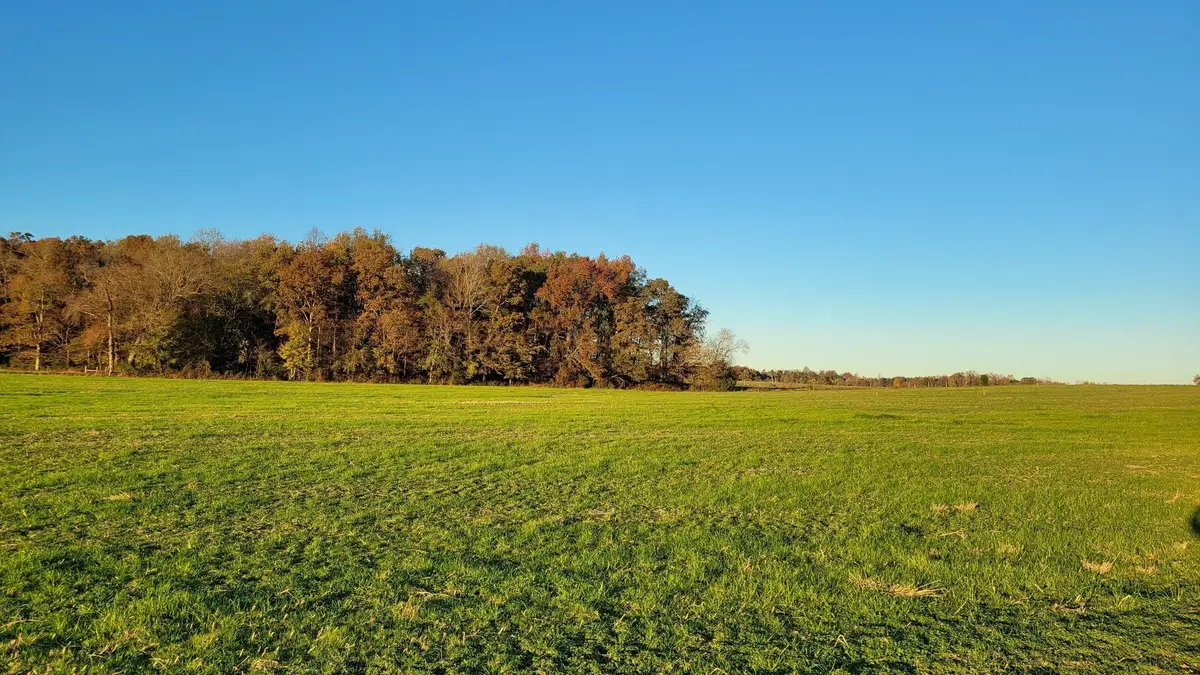 12 Ira Darby Prater Hwy, Woodbury, TN 37190 - #1