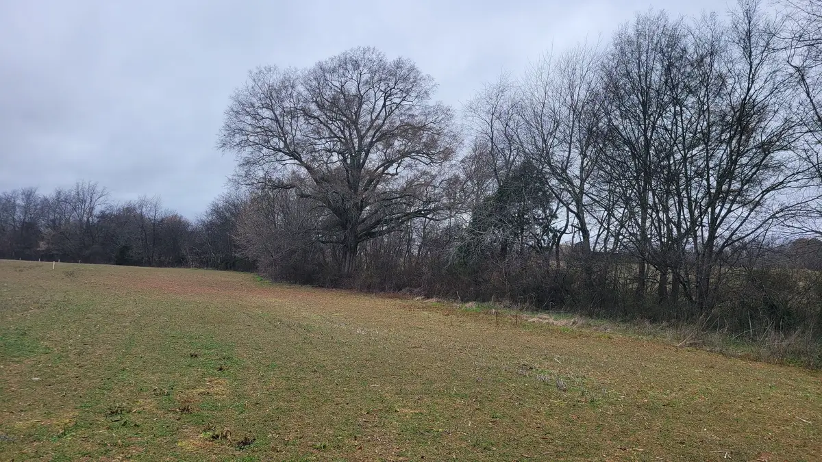 2917 Old Mcminnville Hwy, Woodbury, TN 37190 - #1
