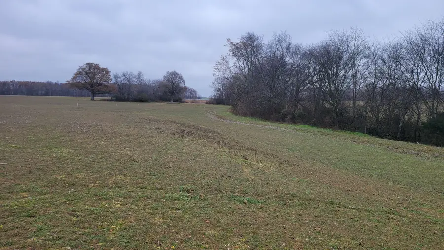 2917 Old Mcminnville Hwy, Woodbury, TN 37190 - #3