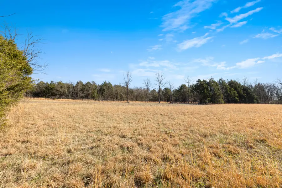 3247 Rucker Rd, Christiana, TN 37037 - Image #3