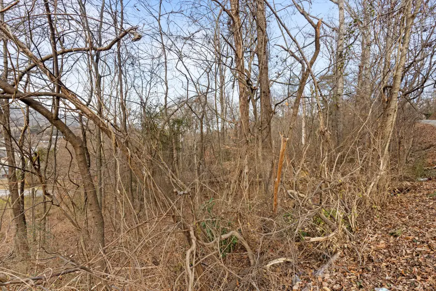 0 Orlando Dr., Chattanooga, TN 37415 - #3