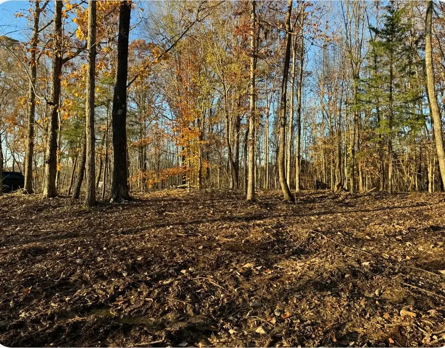 260 Lineport Rd, Bumpus Mills, TN 37028 - Image #2