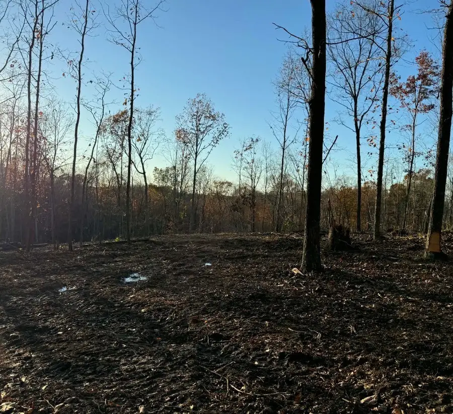 260 Lineport Rd, Bumpus Mills, TN 37028 - Image #3