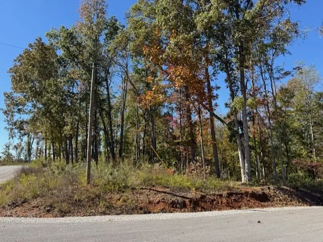 9599 Medlin Rd, Baxter, TN 38544 - #3