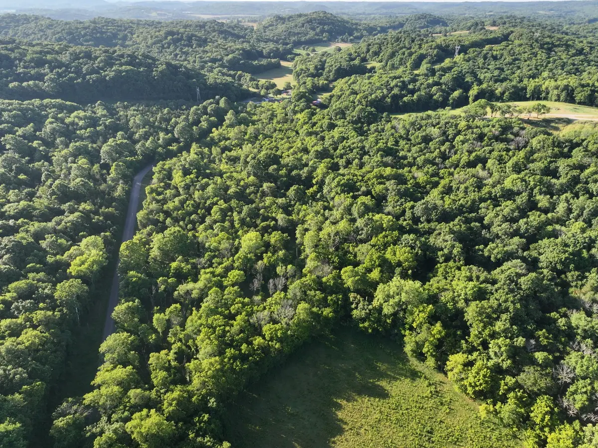 4 Reece Church Rd, Columbia, TN 38401 - #1