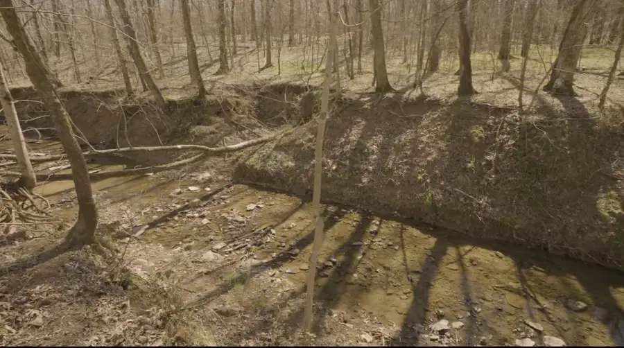 4 Reece Church Rd, Columbia, TN 38401 - #3