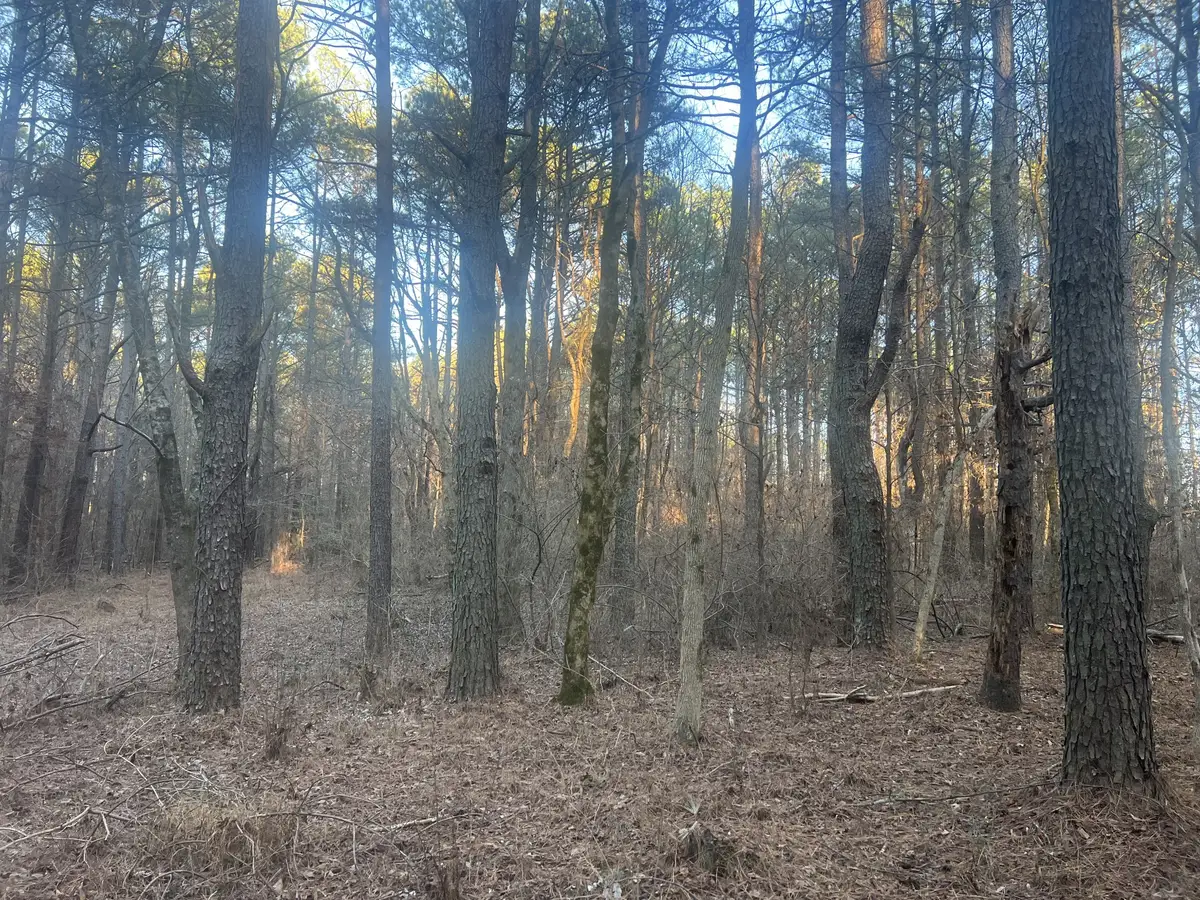 116 Zara Spook Dr, Cedar Grove, TN 38321 - #1