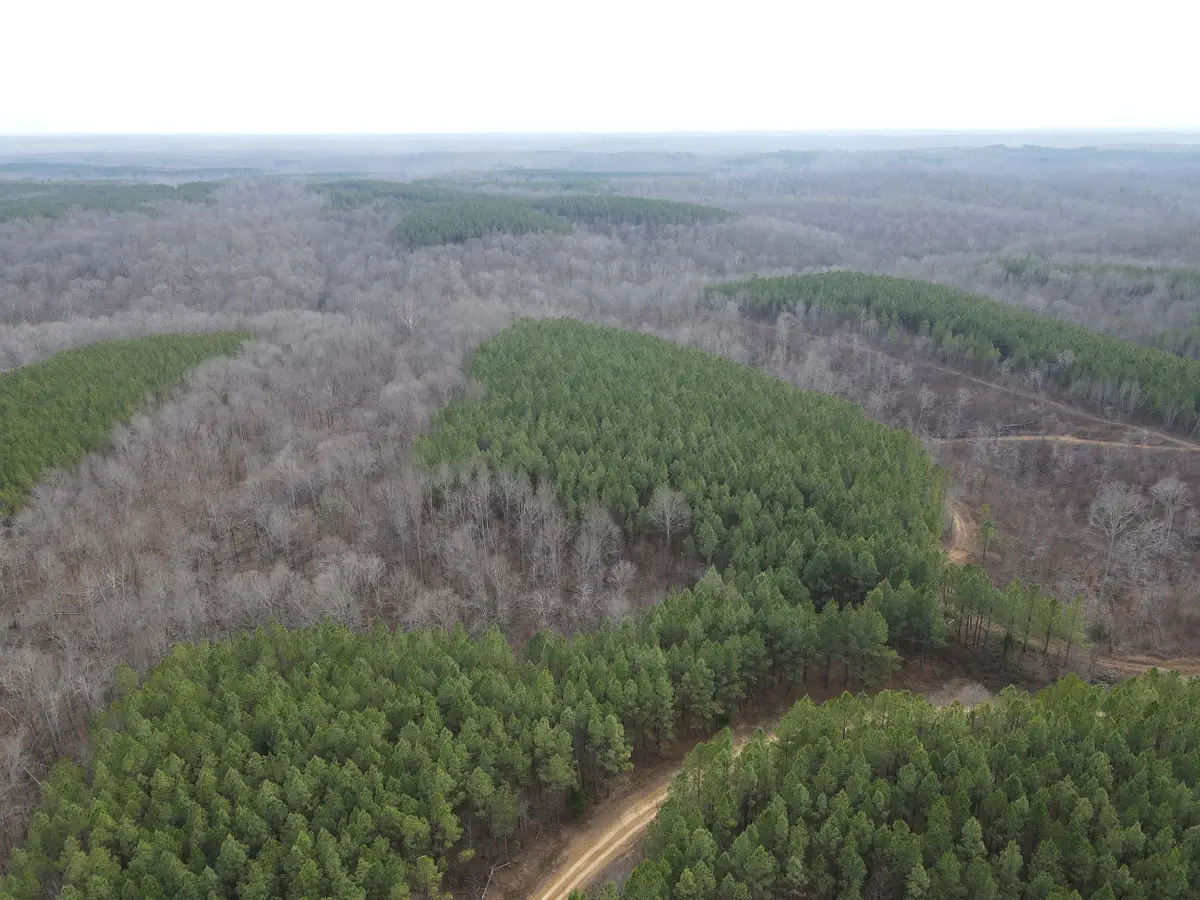 0 North Fork, Stewart, TN 37175 - #1