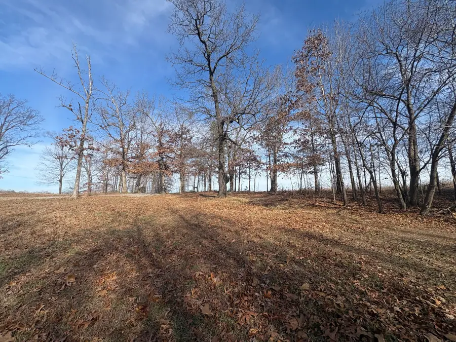 379 Seven Mile Ridge Rd, Indian Mound, TN 37079 - #3