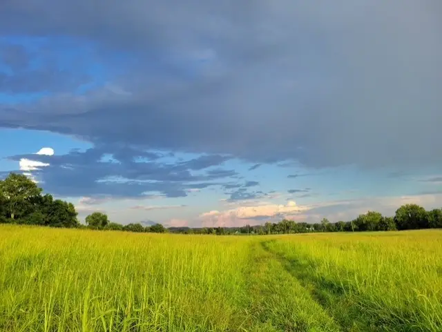 0 Glasgow Branch Rd, Hartsville, TN 37074 - Image #1