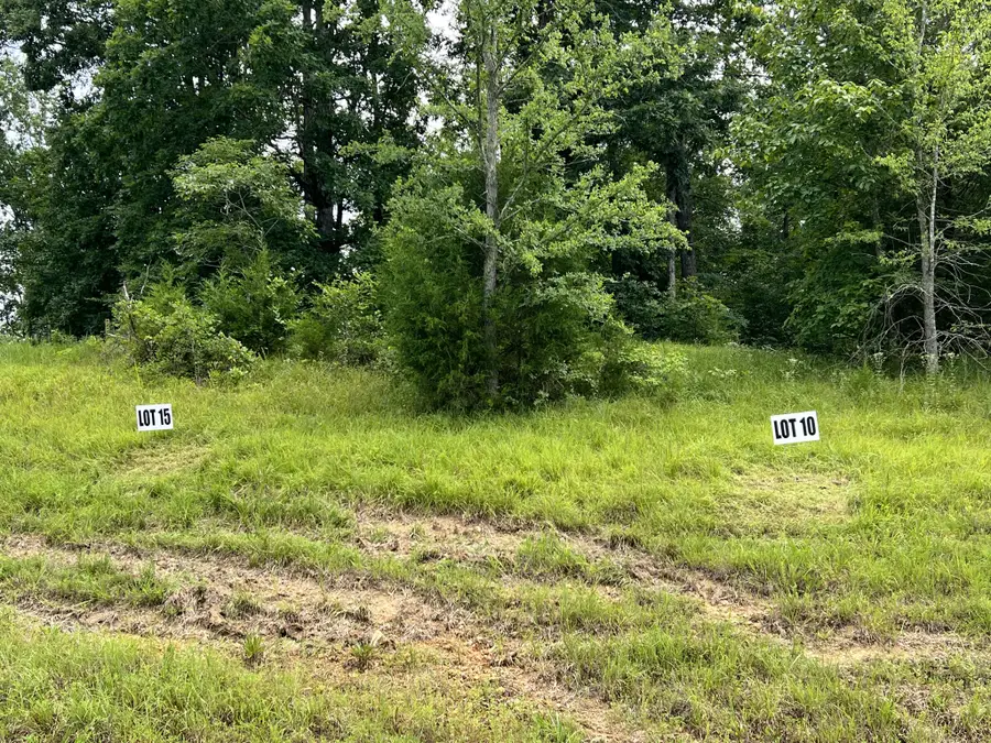 0 Hwy 7, Santa Fe, TN 38482 - Image #3