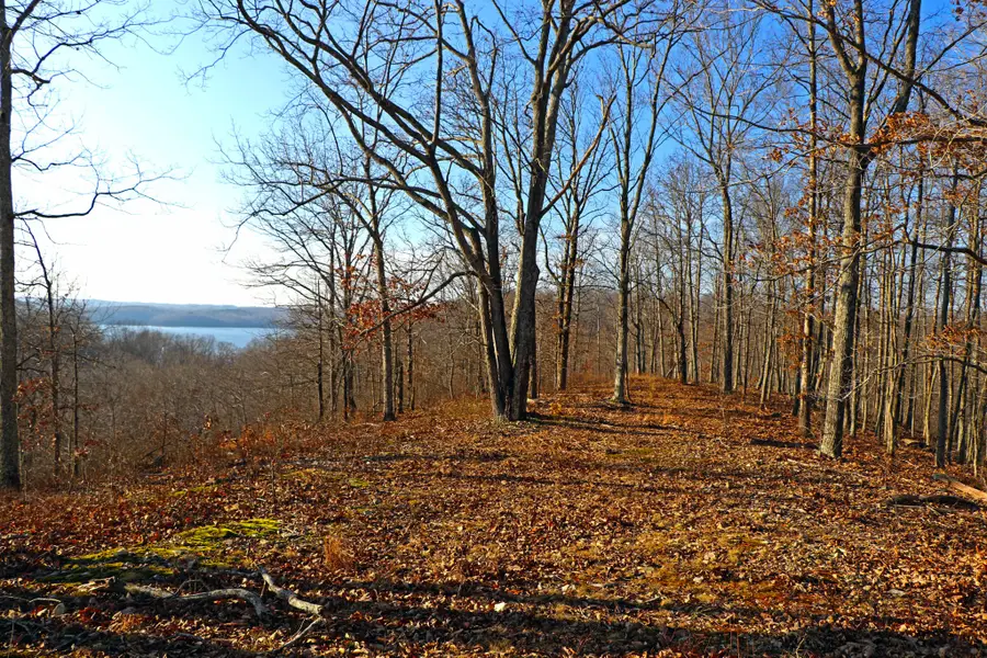 0 Ridge Top Rd, Stewart, TN 37175 - #2