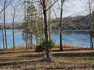 4 Island View Dr, Bath Springs, TN 38311 - Image #3