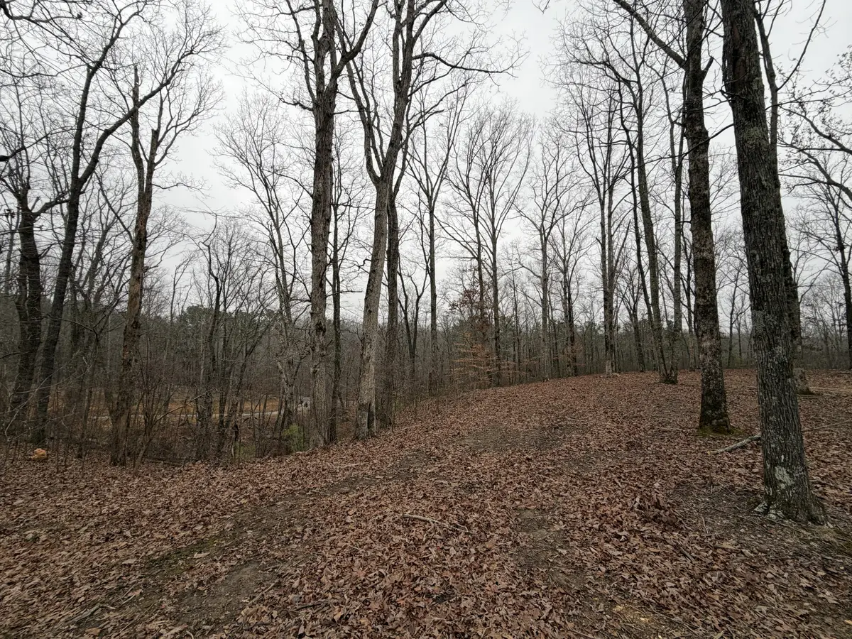 0 Highway 50 East, Centerville, TN 37033 - Image #1